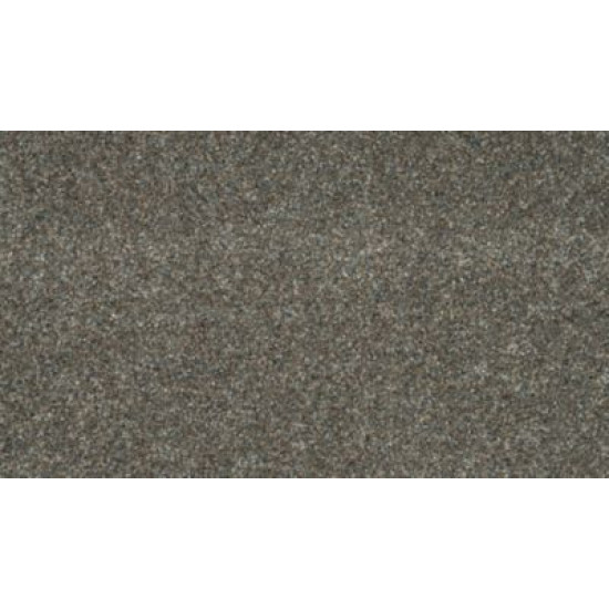 Bold Option - Overcast Bold Option - Overcast