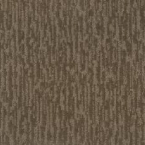 Downtown Spirit II - Tortoise Shell