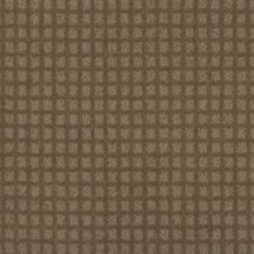 City Sights II - Tortoise Shell