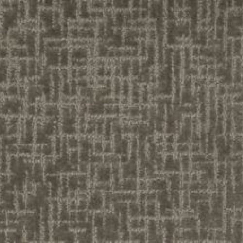Timeless Journey II - Cypress