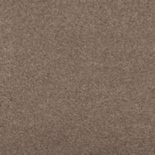 Luxurious Hues - Coffee