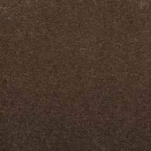 Luxurious Hues - Latte