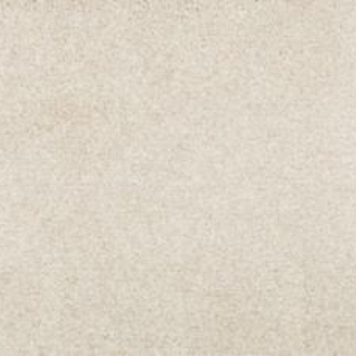 Luxuriant Life - Sand Dollar