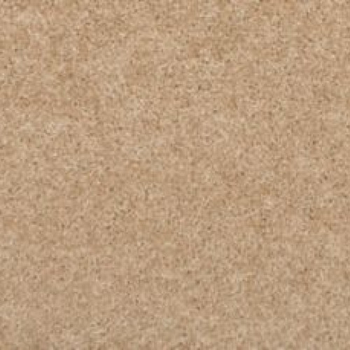 Sp397 - Sugar Cookie