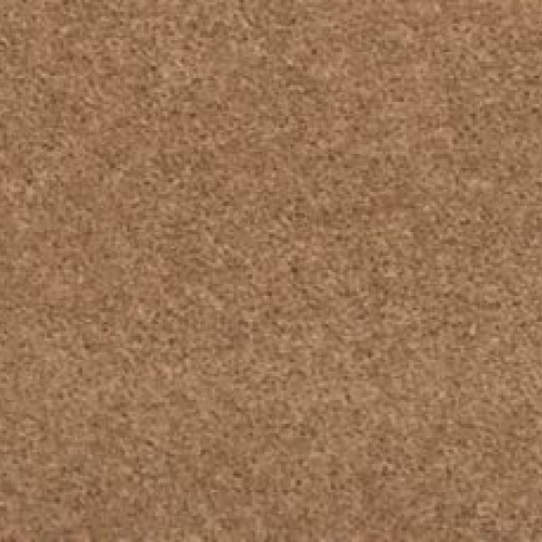 Sp397 - Fowler