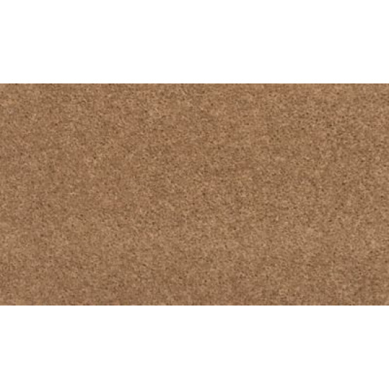 Sp397 - Fowler Sp397 - Fowler