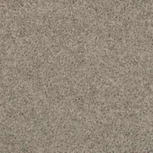 Sp397 - Winter Ash