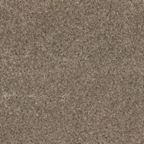 Soft Tempo I - Shadow Suede