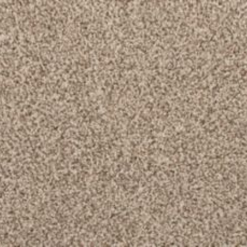 Revive - Elk Beige