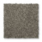 Vitalize I - Pewter