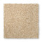 Vitalize II - Bleached Almond
