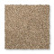 Vitalize II - Flax Seed