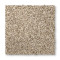 Vitalize II - Elk Beige