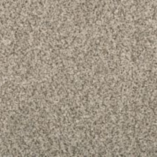 Renovate I - Silver Dollar