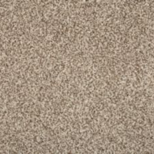 Renovate III - Elk Beige