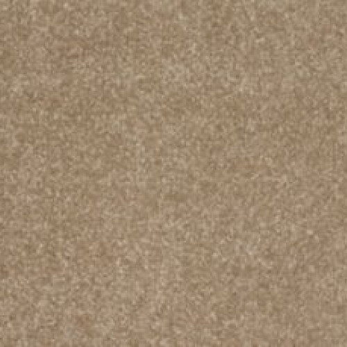 Refined Saga III - Pale Birch