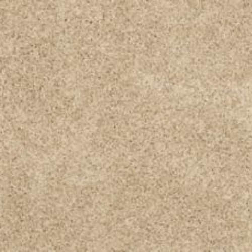 Diffurent Choice I - Fawn