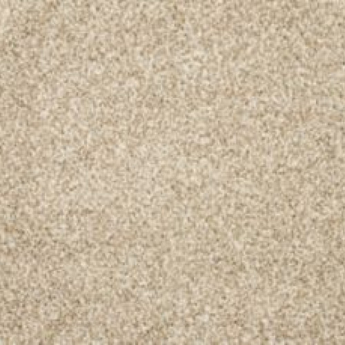 Diffurent Choice II - Canvas Cloth