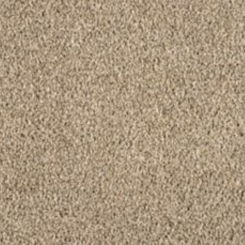 Luxuriant Surface - Shorescape