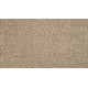 Luxuriant Surface - Shorescape Luxuriant Surface - Shorescape