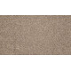 Luxuriant Space - Scroll Luxuriant Space - Scroll