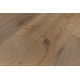 Sanctuary - Driftwood Sanctuary - Driftwood