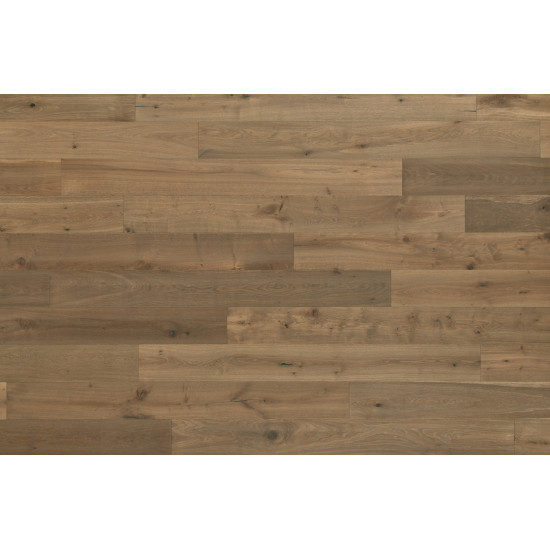 Sanctuary - Driftwood Sanctuary - Driftwood