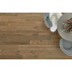 Sanctuary - Driftwood Sanctuary - Driftwood