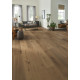 Sanctuary - Driftwood Sanctuary - Driftwood