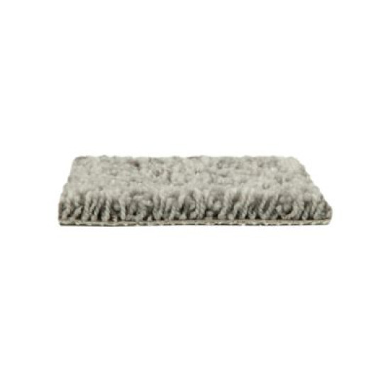 Hb220 - Silver Splendor Hb220 - Silver Splendor
