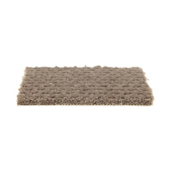 Natural Intuition - Shorescape Natural Intuition - Shorescape