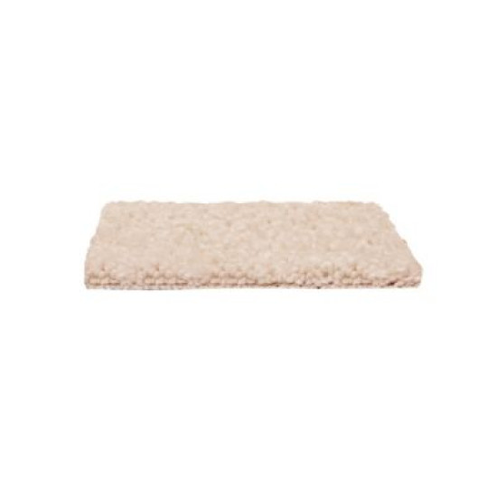 Easy Purpose - Sugar Cookie Easy Purpose - Sugar Cookie