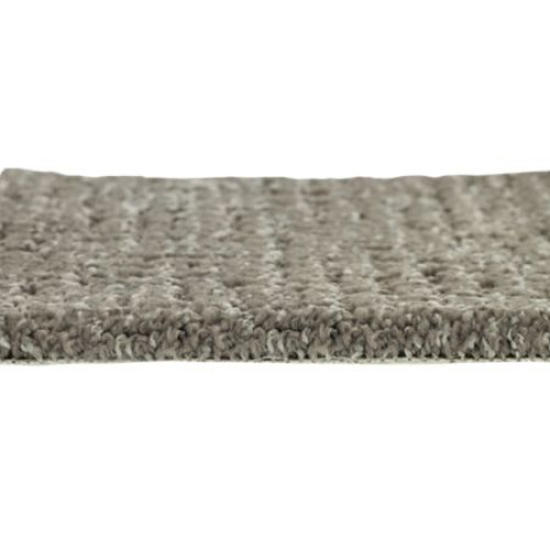 Modern Texture - Dragonfly