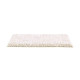 Natural Treasure - Lacey Border Natural Treasure - Lacey Border