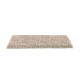 Natural Treasure - Oyster Shell Natural Treasure - Oyster Shell