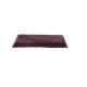 Exquisite Beauty - Vineland Exquisite Beauty - Vineland