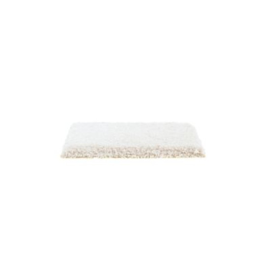Exquisite Attraction - Eggshell Exquisite Attraction - Eggshell