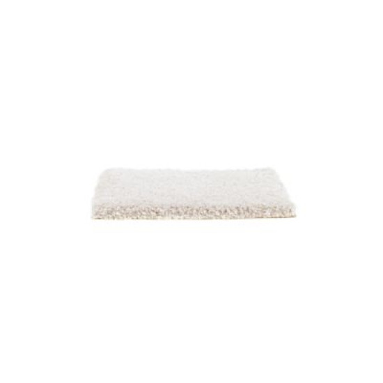 Exquisite Attraction - Alpaca Exquisite Attraction - Alpaca