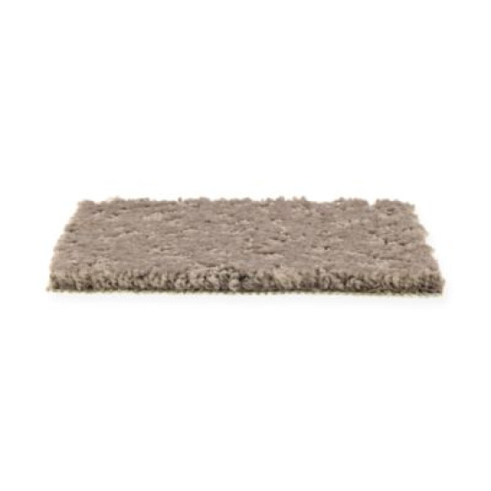 Exceptional Beauty - Tapestry Exceptional Beauty - Tapestry