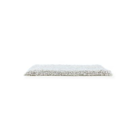 Exquisite Shades - Inertia Exquisite Shades - Inertia