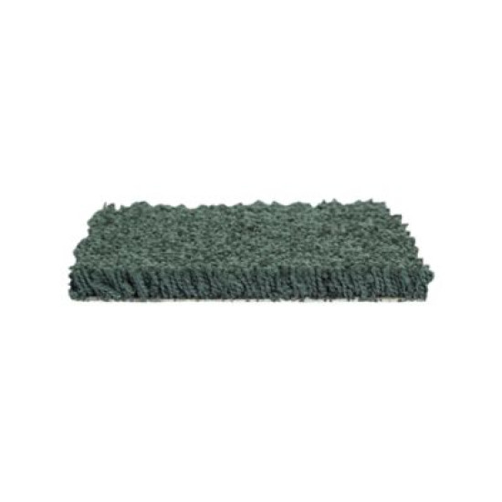 Noteworthy Selection - Romaine Noteworthy Selection - Romaine