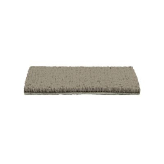 Tailored Essence - Carrington Tailored Essence - Carrington