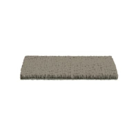 Tailored Essence - Nutmeg Tailored Essence - Nutmeg