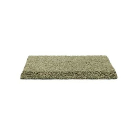Gentle Approach - Grassy Gentle Approach - Grassy