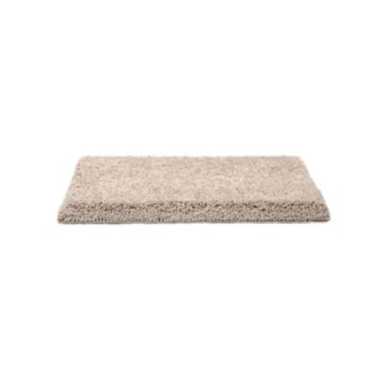 Pleasant Touch - Canvas Pleasant Touch - Canvas