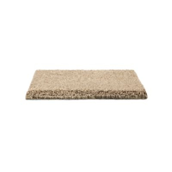 Pleasant Touch - Folkstone Pleasant Touch - Folkstone