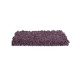 Exceptional Choice - Gladiola Exceptional Choice - Gladiola