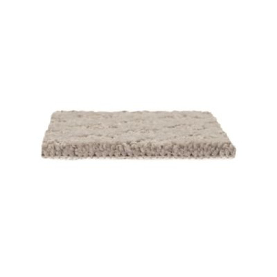 Classic Style - Rustic Splendor Classic Style - Rustic Splendor