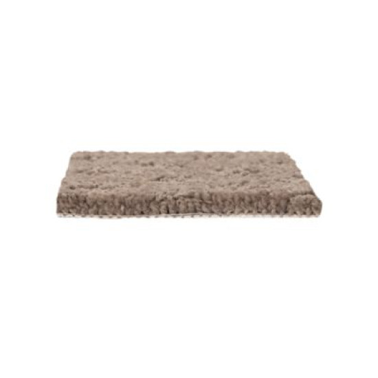 Classic Style - Nutmeg Classic Style - Nutmeg