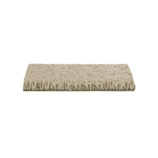 Soft Outlook - Dovetail Soft Outlook - Dovetail